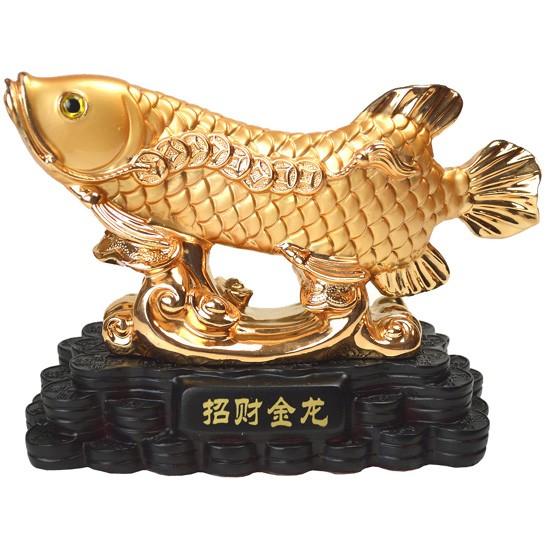 (送料無料)◆≪金運≫風水の龍魚アロワナ ◆【金運を招く財魚】◆特典！開運水盃付き！◆仕事運/金運/...