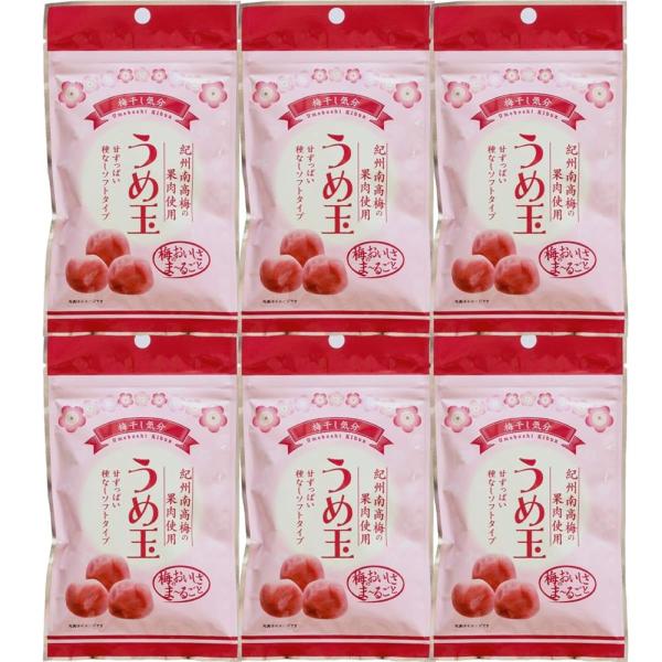 うめ玉 紀州 南高梅 果肉使用 種なし 35g×6袋 クリックポスト 梅 うめ 梅干し 梅ぼし