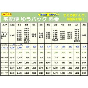 【HOEI】OPカップの詳細画像1