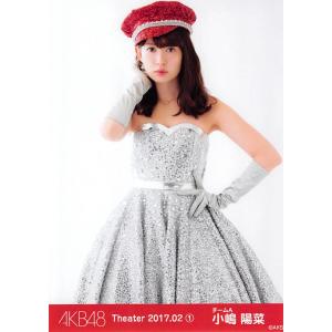 小嶋陽菜 生写真 AKB48 2017.February 第1弾 月別02月 B｜fuwaneko