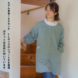 割烹着 ポケットがおしゃれ F LL 大きいサ...の詳細画像4