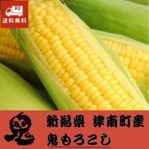 とうもろこし 鬼もろこし 鬼や福ふく 24本 約...の商品画像