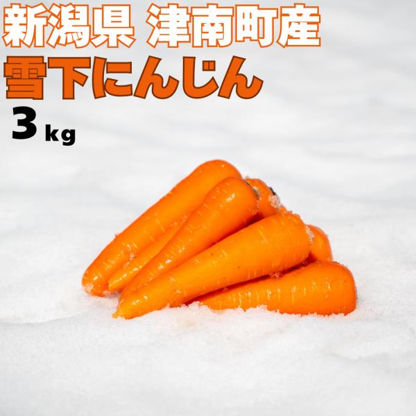 雪下にんじん 3kg 津南産 人参