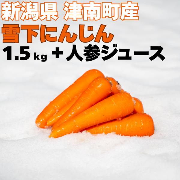 雪下にんじん 1.5kg 津南産 豪雪津南にんじんジュース1L × 1本