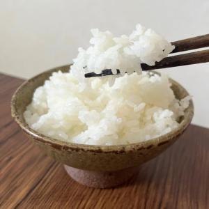 コシヒカリ 5kg 5kg×1袋 令和7年産 ...の詳細画像1