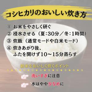 魚沼産コシヒカリ 令和7年産 5kg 新潟 津...の詳細画像2