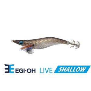 ヤマシタ エギ王 ライブ シャロー 3.5号 034 パッションレッド : FWS