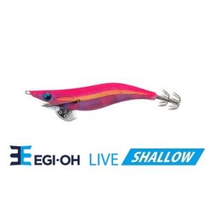 ヤマシタ エギ王 ライブ シャロー 3.5号 034 パッションレッド : FWS