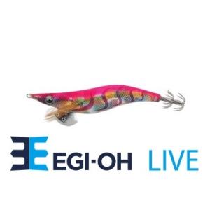 ヤマシタ エギ王 ライブ 3号 033 レッドグレープ : FWS-アルファ