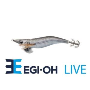 ヤマシタ エギ王 ライブ 3号 038 コハダフラッシュ
