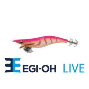 ヤマシタ エギ王 ライブ 3号 033 レッドグレープ : FWS-アルファ