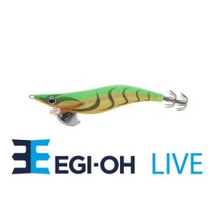 ヤマシタ エギ王 ライブ 3号 041 ホットタイガー