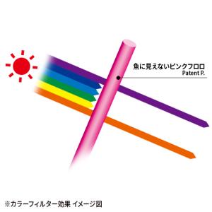 デュエル 魚に見えないピンクフロロ 船ハリス ...の詳細画像3