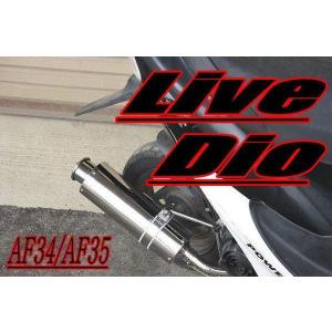 V-DRAGマフラー NRマジック ライブDio/ZX/J/S（AF34/AF35） : バイク