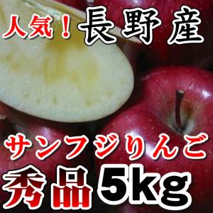 長野 サンふじりんご ギフトにも人気 秀品 信州...の商品画像