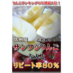 長野 サンふじりんご ギフトにも人気 秀品 信...の詳細画像1