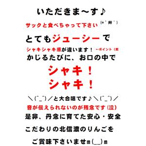 長野 サンふじりんご ギフトにも人気 秀品 信...の詳細画像3