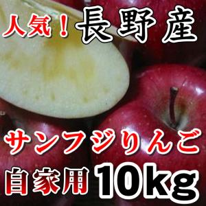 サンふじ 長野産 10kg 中玉 特秀 30-32玉 ギフト : くだもの屋 - 通販