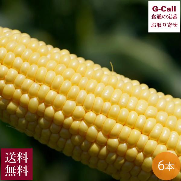 Inakakara Farm to Table 山梨県産とうもろこし 金蜜ゴールド 6本 5月下旬〜...