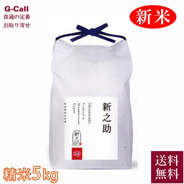 まつえんどん みわ農園 令和7年産 南魚沼産 新之助 精米5kg 10月中旬から順次出荷 指定日不可...