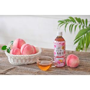 サーフビバレッジ ピーチ烏龍茶 500ml 2...の詳細画像2