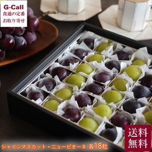 岡山 晴富 ぶどうの宝石箱 シャインマスカット・...の商品画像
