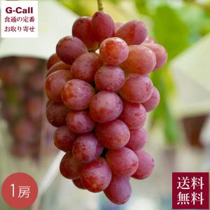 Inakakara 山梨産ぶどう 萩原さんのサニードルチェ 1房 9月上旬から下旬出荷 指定日不可 送料無料 沖縄・離島配送不可 青リンゴ 笛吹市 贈答 ぶどう 産地直送