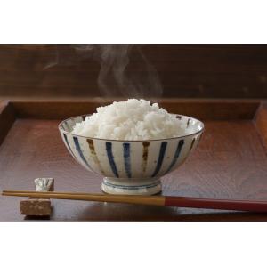 南魚沼産コシヒカリ 使用 レトルトパック ふん...の詳細画像1