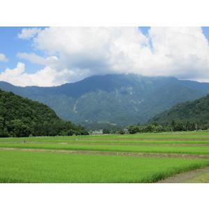 南魚沼産コシヒカリ 使用 レトルトパック ふん...の詳細画像2