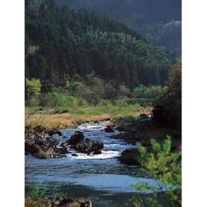 日田天領水 12L 2箱 送料無料 お取り寄せ...の詳細画像4