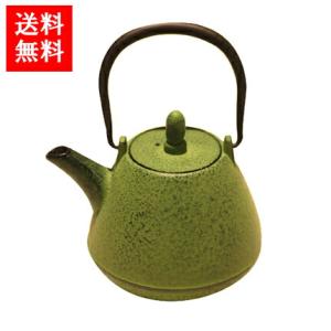 ロジアソシエイツ 南部鉄器 Roji カラー急須 ドーム型肌 芽吹き 黒