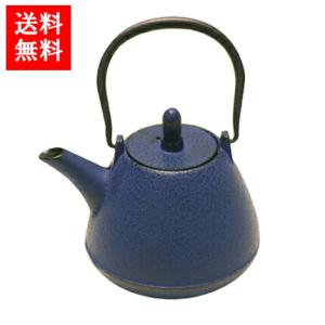 ロジアソシエイツ 南部鉄器 Roji カラー急須 ドーム型肌 芽吹き 黒