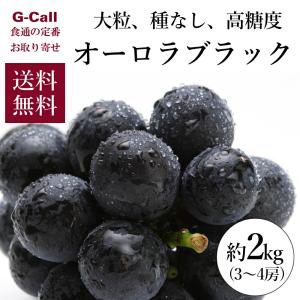 古那志屋 小林農園 岡山県産 オーロラブラック 約2kg 3〜4房 9月上旬〜9月中旬出荷 指定日不可 北海道・沖縄送料別 ぶどう 葡萄 くだもの フルーツ 産地直送