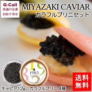 ジャパンキャビア MIYAZAKI CAVIAR 1983 キャビア12g ...