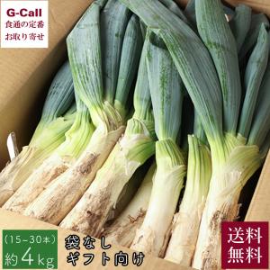 とまとふぁーむ加藤農園 本場 群馬県富岡産 下仁田ねぎ