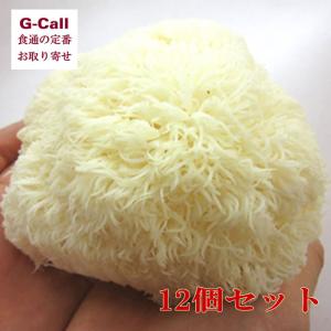 最上まいたけ 山伏茸 12個セット  野菜 旬 新鮮 山形県