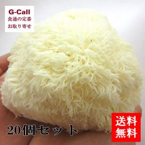 最上まいたけ 山伏茸 20個セット  野菜 旬 新鮮 山形県