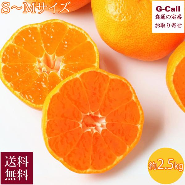 愛知県蒲郡産 温室みかん S-Mサイズ 約2.5kg 約24-30玉入 化粧箱入 5月中旬〜8月下旬...