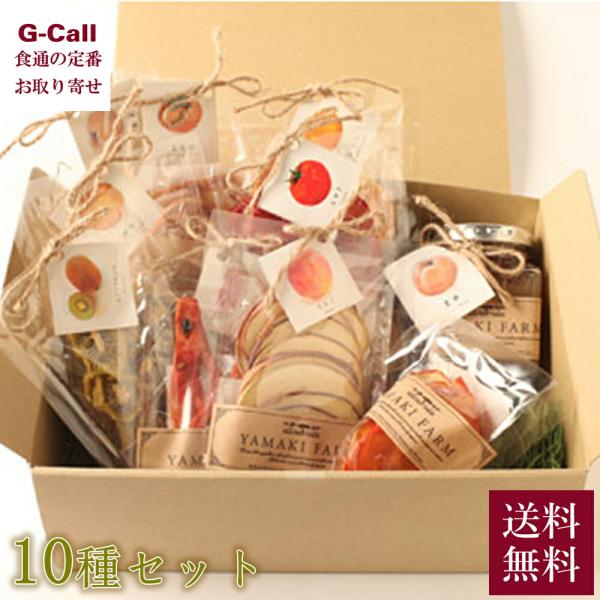 ヤマキ農園 ドライフルーツセット 10種 送料無料 梨 豊水 みかん ミカン 新高 トマト りんご ...