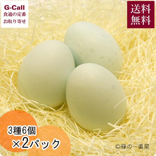 田子たまご村 ミックス 緑の一番星 有精卵 にんにく卵 3種 6個 2パック 送料無料 計36個  ...