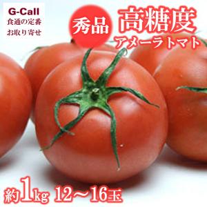 静岡産　トマトダ　高糖度　13~15度　2kg フルーツトマト トマトダ 静岡産 約2kg サイズおまかせ : 果物専門店