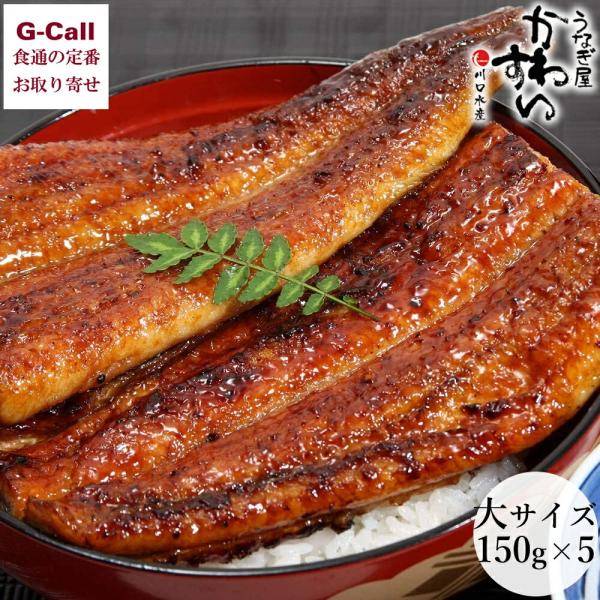 うなぎ 国産 うなぎ屋かわすい 蒲焼 大サイズ 150g 5本 送料無料 和歌山 御中元 うなぎの蒲...
