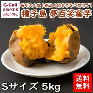 種子島 夢百笑蜜芋 Sサイズ 5kg 送料無料 新芋 蜜芋 納芋 越冬蜜芋 焼きいも やきいも 鹿児島 旬 野菜 濃厚 お取り寄せ ギフト 贈答 大人気 プレゼント