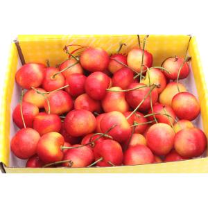 ワシントン州産 レイニアチェリー 約1kg 送...の詳細画像4