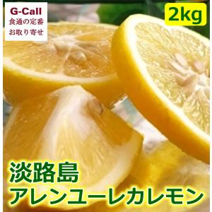 淡路島 平岡農園 アレンユーレカレモン 2kg 柑橘 果物 フルーツ 減農薬 ビタミンC ノーワックス お取り寄せ