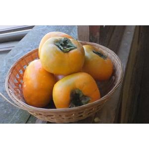 農悠舎 王隠堂 柿ばたーサンド 3本セット 北...の詳細画像5