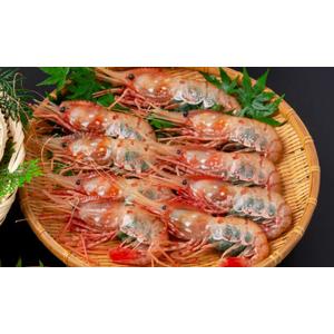 北海水産 いくら500g いくら の商品一覧 イクラ タラコ 魚卵 魚介類 海産物 食品 通販 Yahoo ショッピング