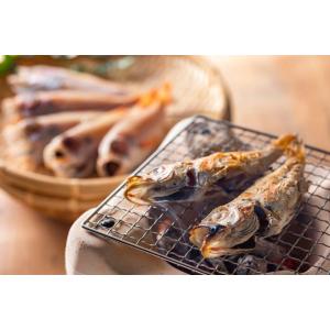 旨干し ハタハタ 8匹 但馬漁業協同組合 送料...の詳細画像3