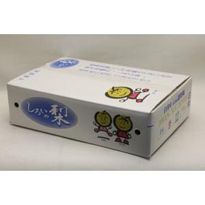 千葉産 白井の梨 豊水 約2.5kg 6〜8玉...の詳細画像4