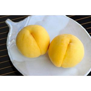 山形県産 黄桃 2kg 秀品 6〜10玉 8月...の詳細画像4